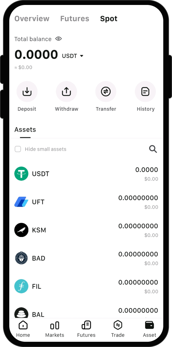 What Can I Do After I Buy Cat Protocol (OPCAT)?