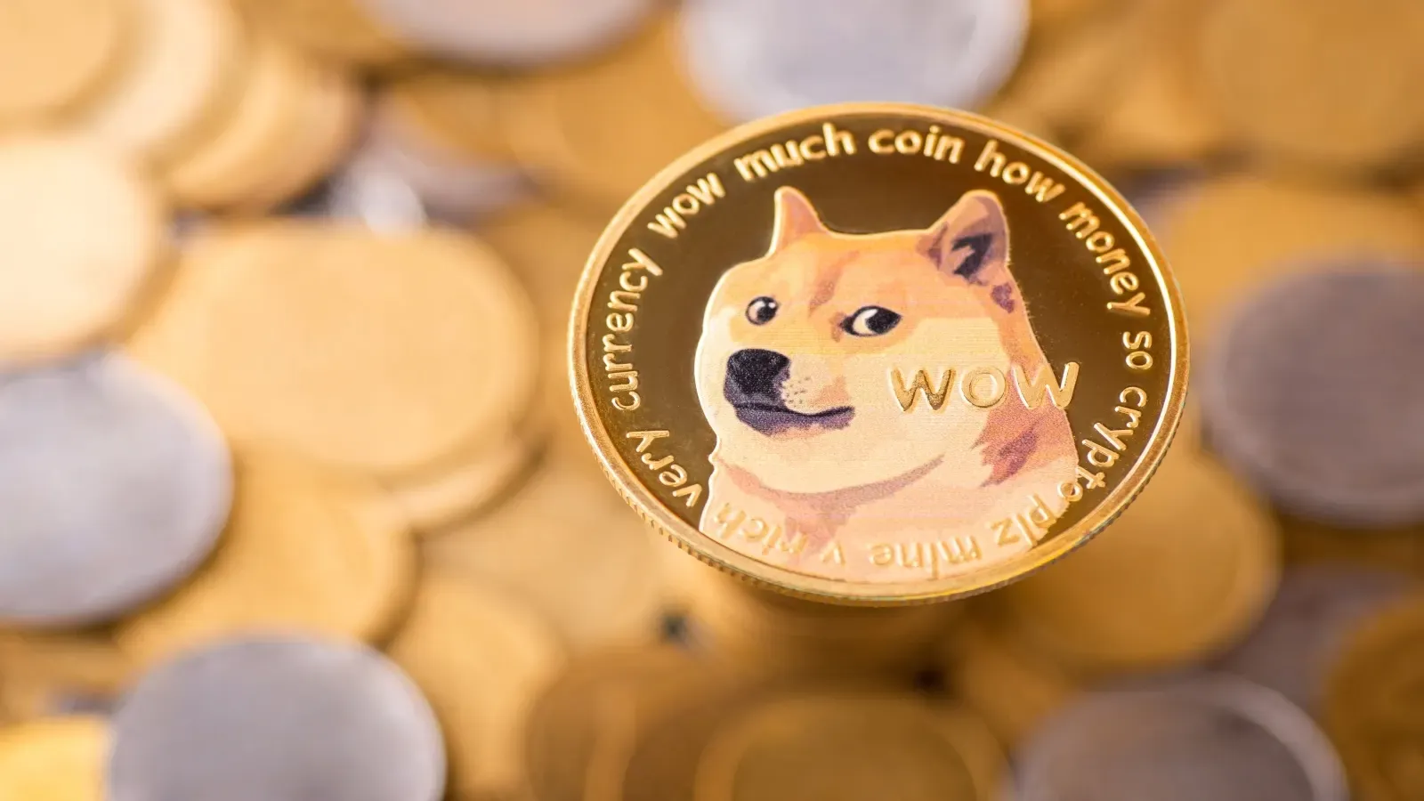 Is Elon Musk About to Flip the Switch on Dogecoin? Why 2026 Is Different