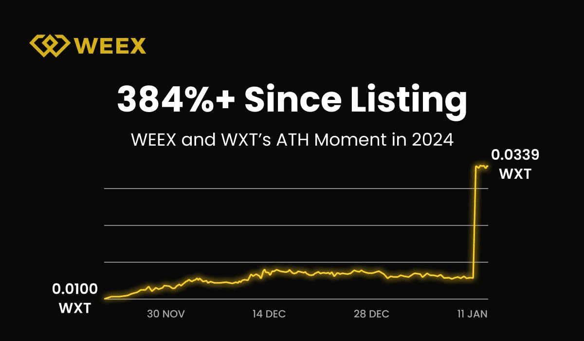 WEEX 2024 年度报告:里程碑、增长和未来愿景