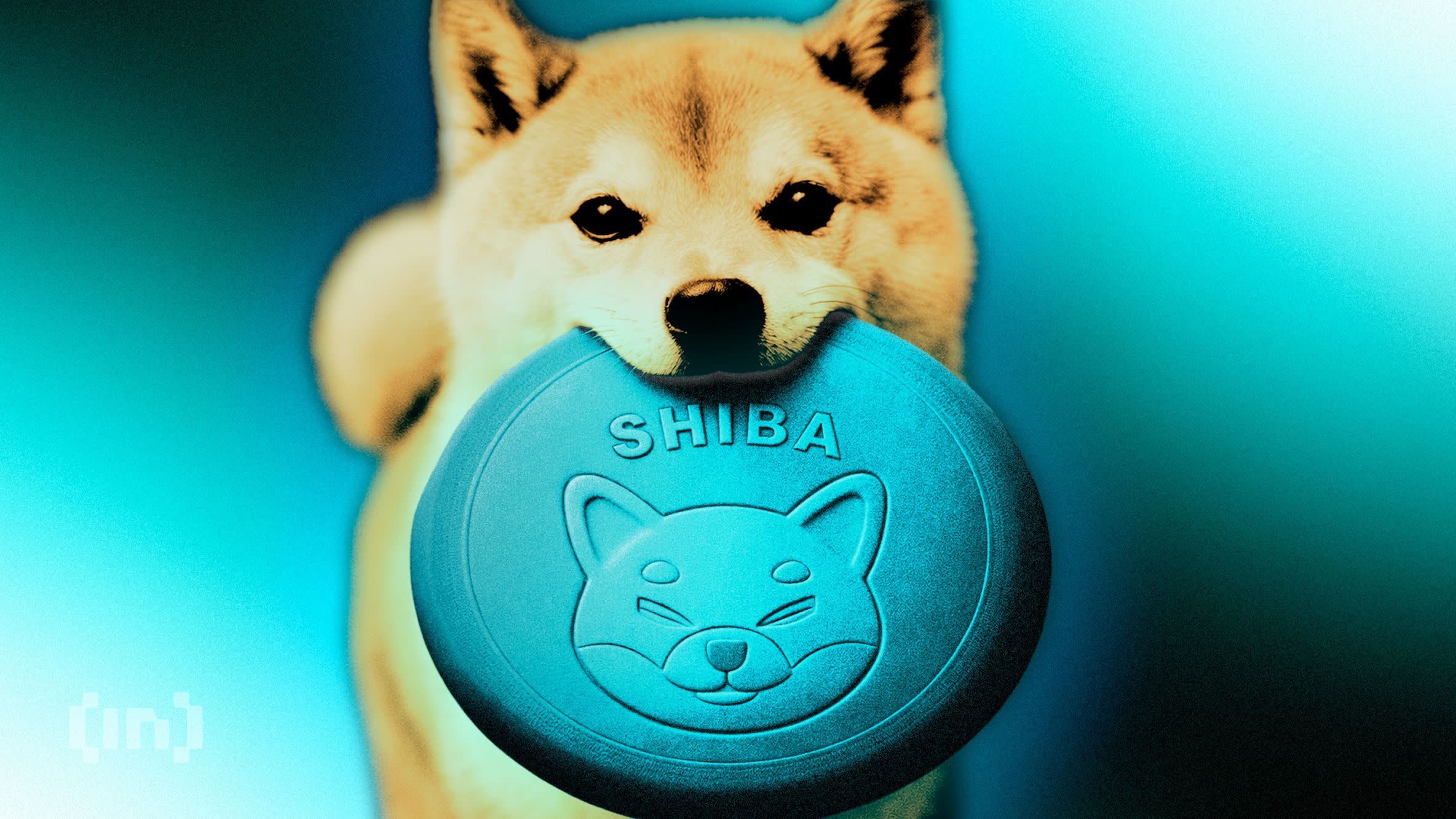持有SHIBA代币符号的柴犬，代表Meme币文化和加密货币热潮