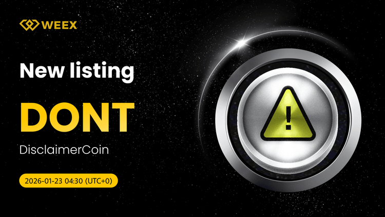 KHÔNG NÊN giao dịch USDT giao ngay: DisclaimerCoin (KHÔNG NÊN) Liệt kê các Coin trên WEEX