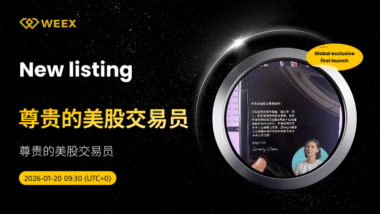 Global Exclusive First Launch: 尊贵的美股交易员 USDT Trading Open on WEEX Exchange