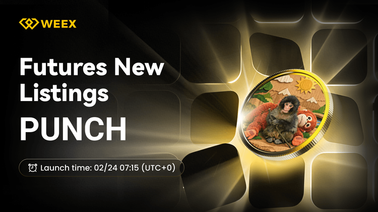 PUNCH USDT Futures: Danh sách WEEX Punch Coin