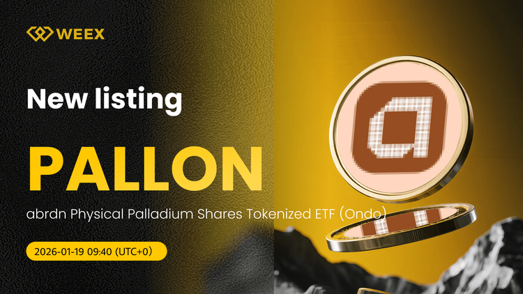 Giao dịch PALLON USDT Trực tiếp: Mua Coin PALLON trên WEEX Spot