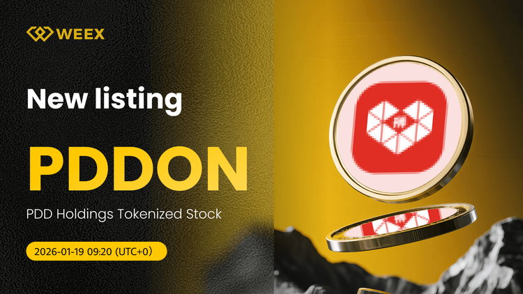 PDDON USDT hiện đã có mặt: Cổ phiếu token hóa PDD Holdings trên WEEX Spot