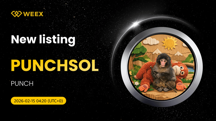 Giao dịch giao ngay USDT Punchsol bắt đầu trên sàn giao dịch WEEX.
