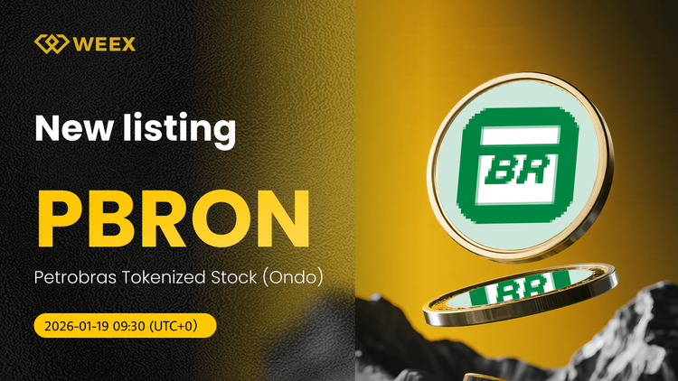 Giao dịch PBRON USDT: Cổ phiếu được mã hóa của Petrobras trên sàn WEEX Spot