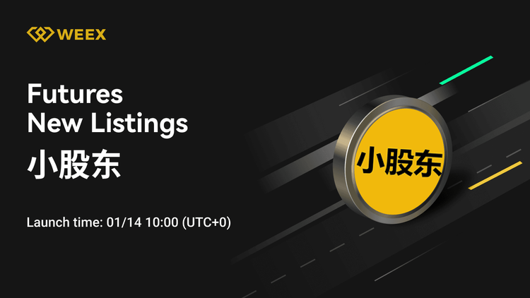 WEEX Ra Mắt 小股东 USDT: Hợp Đồng Vĩnh Cửu 小股东