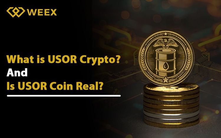USOR: Giữa thực tế và hư cấu